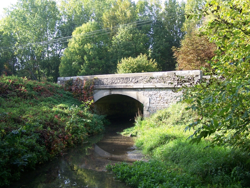 Pont